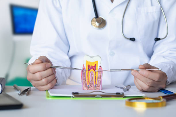 Best Broken or Cracked Tooth Emergency Dentist in White Plains, NY